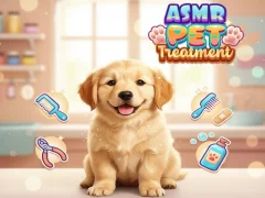 Cluiche Asmr Pet Treatment ar líne