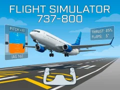 Cluiche Flight Simulator 737-800 ar líne