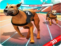 Cluiche Crazy Dog Race ar líne