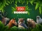 Cluiche ZOO Trivia ar líne