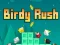 Cluiche Birdy Rush ar líne