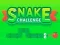 Cluiche Snake Challenge ar líne