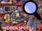 Cluiche Hidden Spots In The Room ar líne