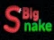 Cluiche Big Snake.io ar líne