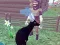 Cluiche Deer Simulator 3D ar líne
