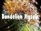 Cluiche Dandelion Jigsaw ar líne