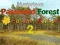 Cluiche Mysterious Password Forest Autumn Edition 2 ar líne
