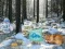 Cluiche Winter Wonderland Forest Adventure ar líne
