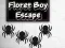 Cluiche Floret Boy Escape ar líne