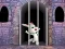 Cluiche Victory Rabbit Escape ar líne