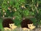 Cluiche Escape From Mango Farm ar líne