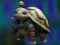 Cluiche Isolated Turtle Escape ar líne