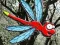 Cluiche Escape From Dragonfly Forest ar líne