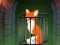 Cluiche Fox in the Forgotten Ruins ar líne