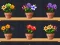 Cluiche Good Flower Master ar líne