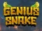 Cluiche Genius Snake ar líne