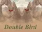 Cluiche Double Bird ar líne