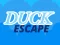 Cluiche Duck Escape ar líne