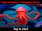 Cluiche Squid Game In Dalgona Panic ar líne