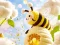 Cluiche Find The Differences: Little Bee's Adventure ar líne