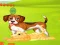 Cluiche Bunny Key Quest ar líne