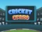 Cluiche Cricket Craze ar líne