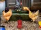 Cluiche Poultry Farm Easter Escape ar líne