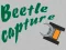 Cluiche Beetle Capture ar líne
