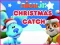 Cluiche Nick Jr. Christmas Catch ar líne