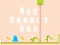 Cluiche Run Rabbit Run ar líne