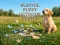 Cluiche Playful Puppy Outdoor Puzzle ar líne