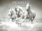 Cluiche Horses Puzzle ar líne