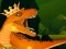 Cluiche The Dino King ar líne