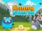 Cluiche Bunny Storm ar líne
