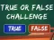 Cluiche  True Or False Challenge ar líne
