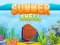 Cluiche Summer Shell ar líne