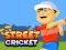 Cluiche Street Cricket ar líne