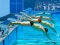 Cluiche Swimming Pool Race ar líne