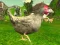 Cluiche Chicken Shooter ar líne