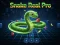 Cluiche Snake Real Pro ar líne