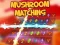 Cluiche Mushroom matching ar líne