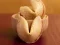 Cluiche Fortune Cookies ar líne