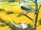 Cluiche Birds Of Prey Puzzle ar líne