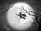 Cluiche The Night Of the Witches Jigsaw ar líne