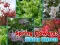 Cluiche Spring Flowers: Hidden Objects ar líne