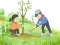 Cluiche Arbor Day Puzzle ar líne