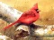 Cluiche Art Birds Puzzle ar líne