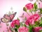 Cluiche Butterflies Puzzle ar líne