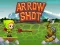 Cluiche Arrow Shoot ar líne