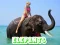 Cluiche Elephants Puzzle ar líne